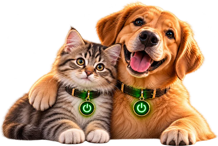 Cachorro abraçando um gatinho, ambos com a medalha verde da Mixaria Pet